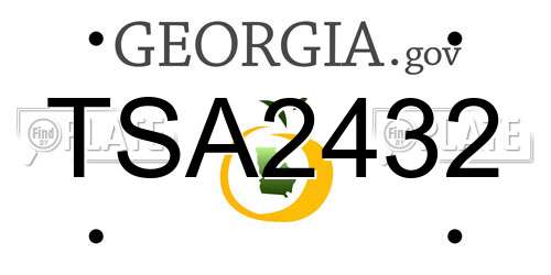 TSA2432 Georgia License Plate