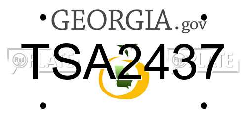 TSA2437 Georgia License Plate