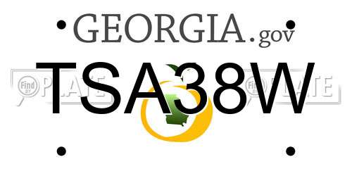 TSA38W Georgia License Plate