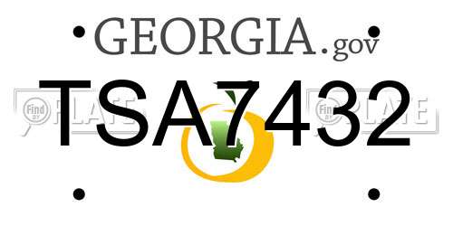 TSA7432 Georgia License Plate