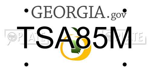 TSA85M Georgia License Plate
