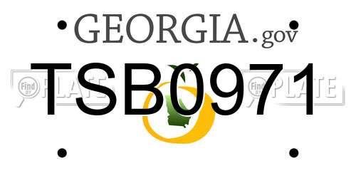 TSB0971 Georgia License Plate