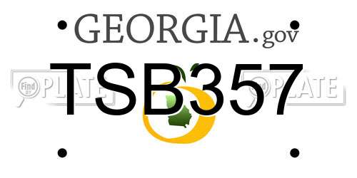 TSB357 Georgia License Plate