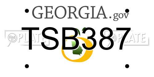 TSB387 Georgia License Plate