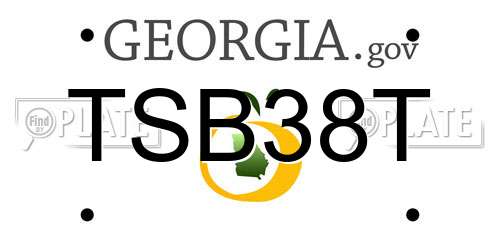 TSB38T Georgia License Plate