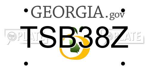 TSB38Z Georgia License Plate