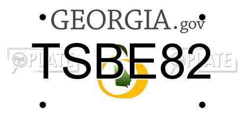 TSBE82 Georgia License Plate