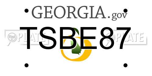 TSBE87 Georgia License Plate