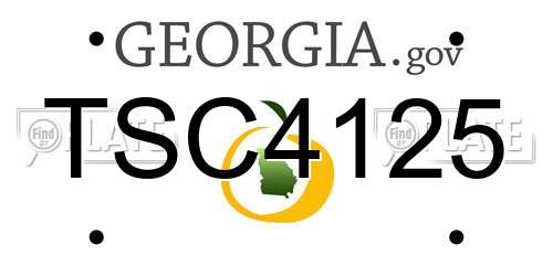 TSC4125 Georgia License Plate