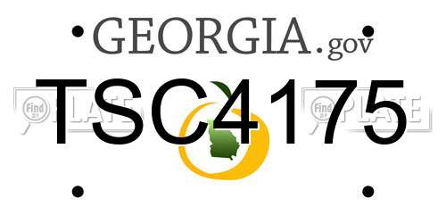TSC4175 Georgia License Plate