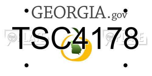 TSC4178 Georgia License Plate