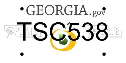 TSC538 Georgia License Plate