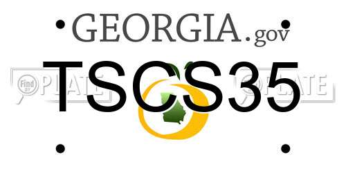 TSCS35 Georgia License Plate