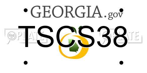 TSCS38 Georgia License Plate