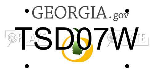 TSD07W Georgia License Plate