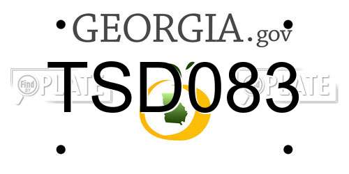 TSD083 Georgia License Plate