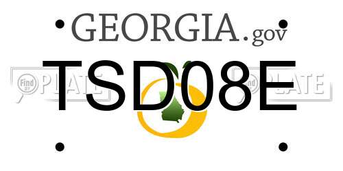 TSD08E Georgia License Plate