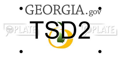 TSD2 Georgia License Plate