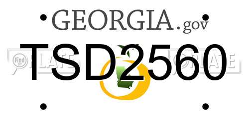 TSD2560 Georgia License Plate