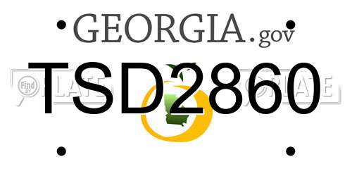 TSD2860 Georgia License Plate
