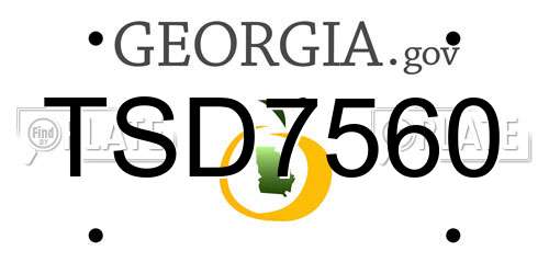 TSD7560 Georgia License Plate