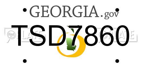 TSD7860 Georgia License Plate