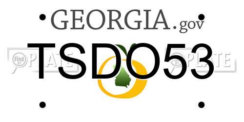 TSDO53 Georgia License Plate