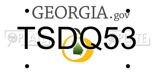 TSDQ53 Georgia License Plate