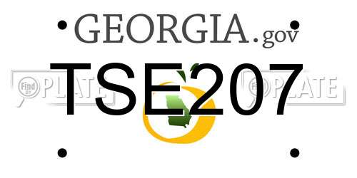TSE207 Georgia License Plate