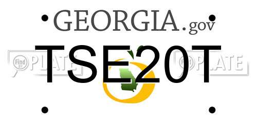 TSE20T Georgia License Plate