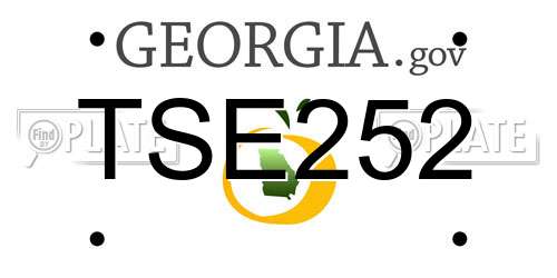 TSE252 Georgia License Plate