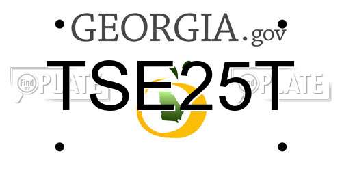 TSE25T Georgia License Plate