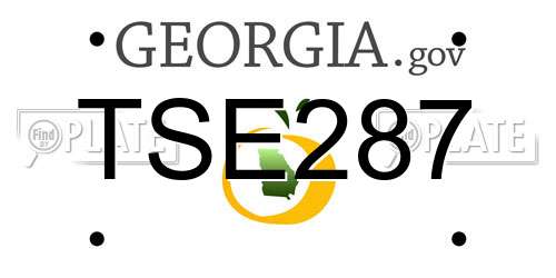 TSE287 Georgia License Plate