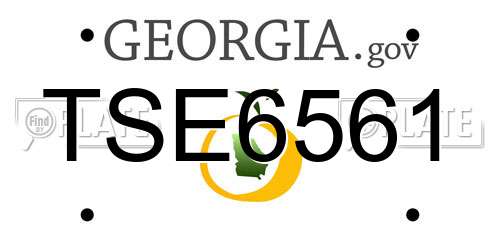 TSE6561 Georgia License Plate