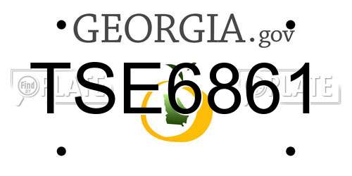 TSE6861 Georgia License Plate