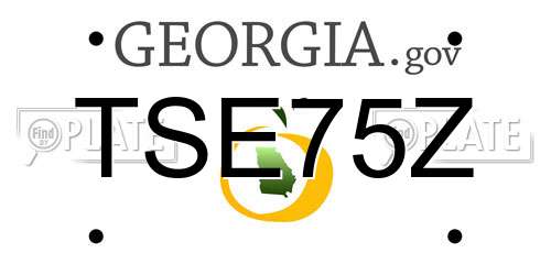 TSE75Z Georgia License Plate