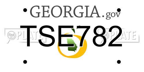 TSE782 Georgia License Plate