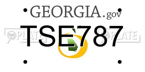 TSE787 Georgia License Plate