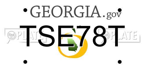 TSE78T Georgia License Plate