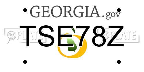 TSE78Z Georgia License Plate