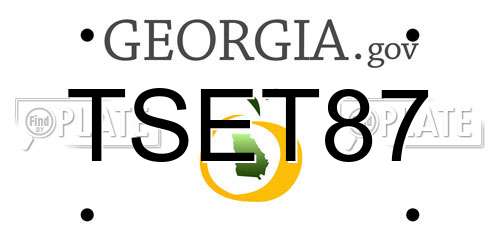 TSET87 Georgia License Plate