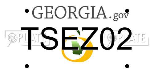 TSEZ02 Georgia License Plate