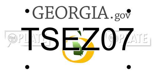 TSEZ07 Georgia License Plate