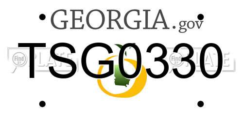 TSG0330 Georgia License Plate