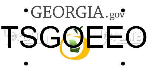 TSGOEEO Georgia License Plate