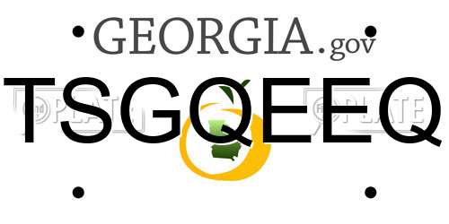 TSGQEEQ Georgia License Plate