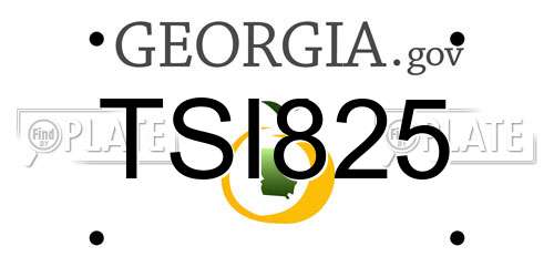 TSI825 Georgia License Plate