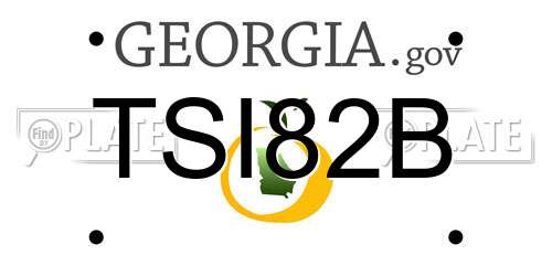 TSI82B Georgia License Plate