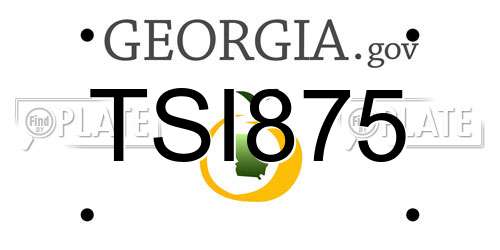TSI875 Georgia License Plate