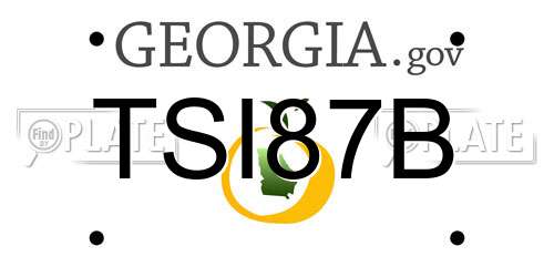 TSI87B Georgia License Plate